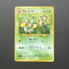2026年最新】キレイハナ 旧裏の人気アイテム - メルカリ