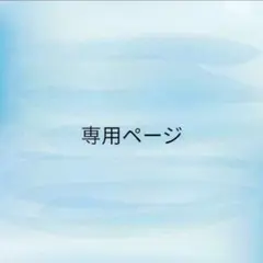BUYEE公式アカウント35さま専用 - メルカリ