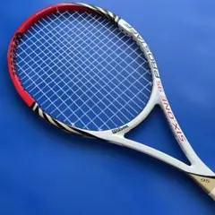 Wilson PRO STAFF SIX.ONE 95 BLX 16×19のサムネイル