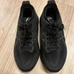 アシックス ゲルカヤノ 31 EXワイド GEL-KAYANO 31 28cm