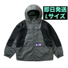 PALACE The North Face Mountain Parka