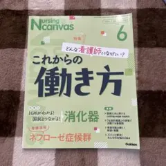 NursingCanvas 2024年6月号