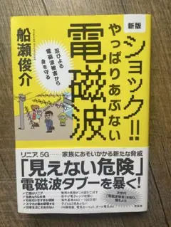 ショック!!やっぱりあぶない電磁波 忍びよる電磁波被害から身を守る　船瀬俊介