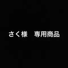 さく様専用　Eveキーホルダー