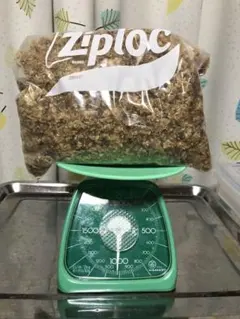 Item thumbnail for item 4564b9e9-b636-4601-9014-84548f7235cc