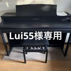 Lui55様専用　KAWAI SCA401 MB