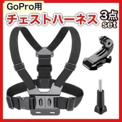 Item thumbnail for item 5e4c3392-34ff-4550-a564-5f8729f7b6d5