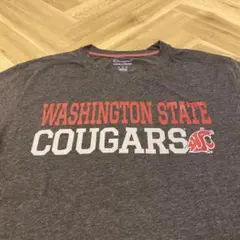 Champion チャンピオン古着ヴィンテージカレッジTシャツ