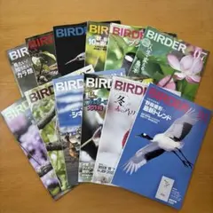 2026年最新】birder 2024の人気アイテム - メルカリ