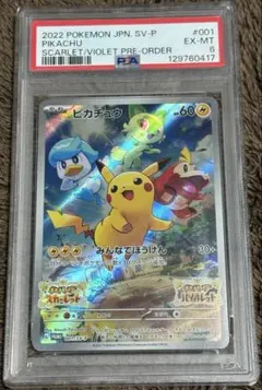 【ワケあり】 PSA6 みんなでぼうけん スカバイ ピカチュウ プロモ