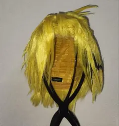 2025年最新】魘夢ウィッグの人気アイテム - メルカリ