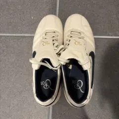 Item thumbnail for item e119b91f-65ca-4580-9bb1-570496c7d221