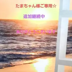 たまちゃん様ご専用☆最長6/7日までお取り置き可能☆只今1点目☆