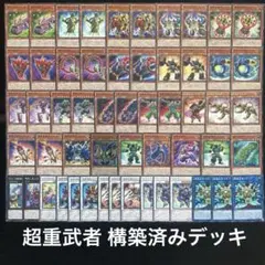 遊戯王 No.587 転生炎獣 構築済みデッキ 40枚＋EX15枚 - メルカリ