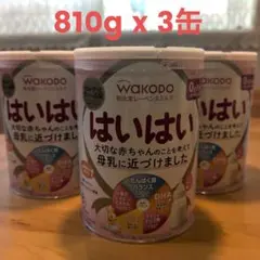 WAKODO はいはい 粉ミルク810g 4缶セット - メルカリ