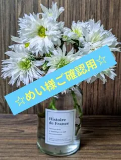 めい様ご確認用！白＆グリーンの美しすぎるスプレーマム ☆スケキヨ☆ 菊苗