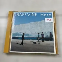2026年最新】grapevine hereの人気アイテム - メルカリ
