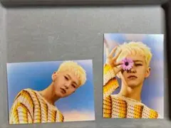 SEVENTEEN SECTOR17 ホシ  トレカ