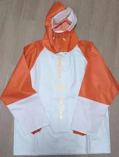 Item thumbnail for item 73b6107d-0094-4bb6-93fb-cb3739d25fce