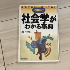 社会学がわかる事典 森下伸也著 A5サイズ