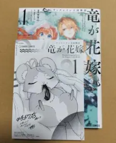 ウィズレイン王国物語 ～竜が花嫁～ 2巻 アニメイト 特典 ビジュアル