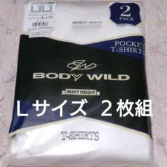 ①GUNZE　グンゼ　BODYWILD　メンズ　紳士　Ｌサイズ　丸首　半袖