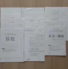 Item thumbnail for item 6cc1f219-3b33-457d-a9ad-9a9a4042e28d