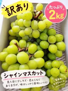 山梨県産 シャインマスカット 粒 3キロ - メルカリ