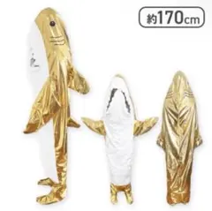 Item thumbnail for item 5911411c-0473-4b35-91ce-ab423997b591