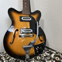 Sekovaフルアコ Greco EG135 US輸出仕様 60s後半 フジゲン 2026年最新】グレコ フルアコの人気アイテム - メルカリ