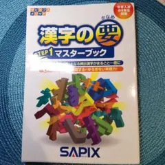 漢字の要 STEP1 マスターブック 　サピックス