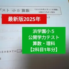 本日のみ、値下げ❕浜学園　『最新版』　無記入☆　小５　算数　一年間分 最新版 2025年度 浜学園 小5 最高レベル特訓 算数 未使用 1年分 【公式