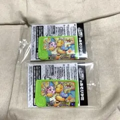 【新品未開封】ポケットモンスター ポケモンフレンダ タグ スペシャル カイリュー