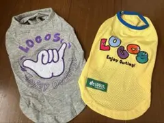 Item thumbnail for item b57d9d89-e3dd-45b3-a08b-2ce255ba875e