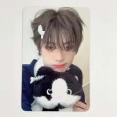 ALD1 サンウォン 猫に鰹節 トレカ - メルカリ