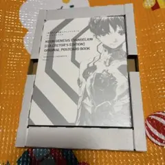 新世紀 エヴァンゲリオン 愛蔵版 特典 ポストカードブック