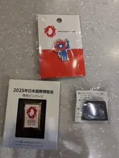 非売品】いのち動的平衡館 関西万博 ピンバッチ - メルカリ