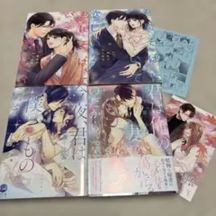 即購入❌「君にそばにいて欲しい」「今夜、君は僕のものになる」「君は俺の妻になる