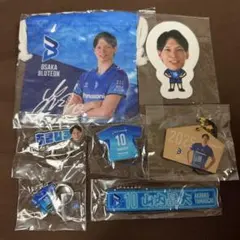 藤澤尚之　キーホルダー　缶バッジ　目印チャーム　まとめ売り　福井ブローウィンズ 藤澤尚之 キーホルダー 缶バッジ 目印チャーム まとめ売り 福井ブロー