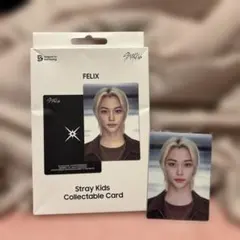 Item thumbnail for item 221fbf1f-6814-4bed-ab08-86d4f1945d02