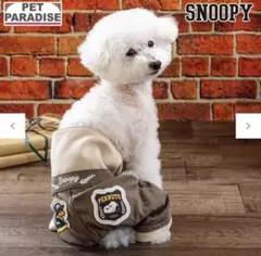 ペットパラダイス マナーベルト マナーウェア ズボン 小型犬 DSS