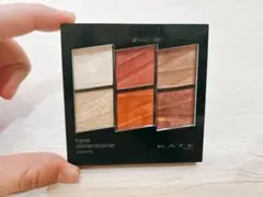 KATE トーンディメンショナルパレット EX-1