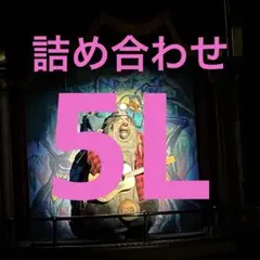 【5L】7着詰め合わせ