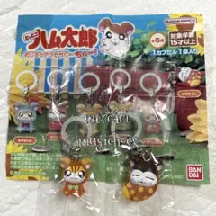 とっとこハム太郎　めじるしアクセサリー　ちゅー！★トラハムちゃん&ねてるくん