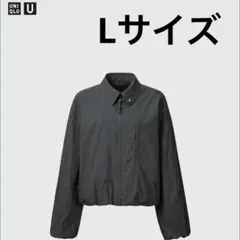 Item thumbnail for item e32d98c1-6b66-455f-a172-ecc31bd0a46c