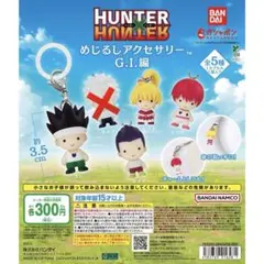 HUNTER×HUNTER ハンターハンター めじるしアクセサリー