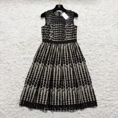 タグ付き Diagram ダイアグラム グラデドット刺繍ワンピース レース 黒