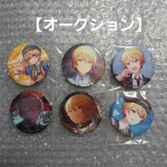 神*月様 【オークション】プロセカ カラパレ特典 グリッター缶バッジ キャラバッ