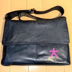 Item thumbnail for item decdbec6-159f-4880-b581-baa4995a32fa