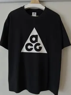 nike ACG ロゴTシャツ ナイキ 希少Lサイズ